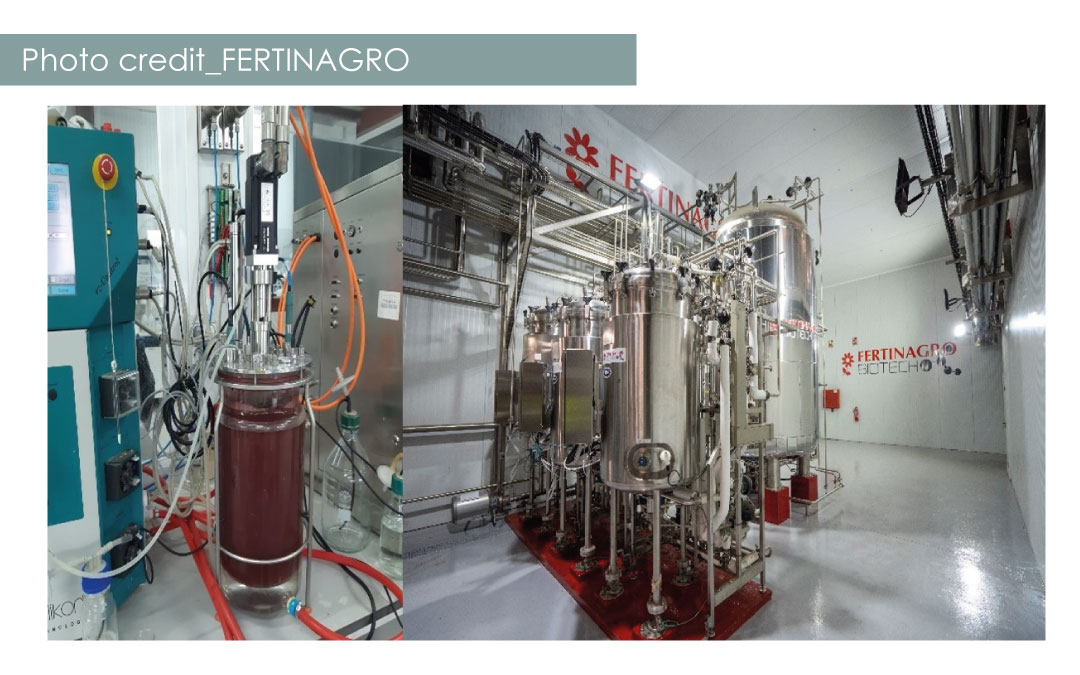 New biobased fertilizers with capacity as biostimulant