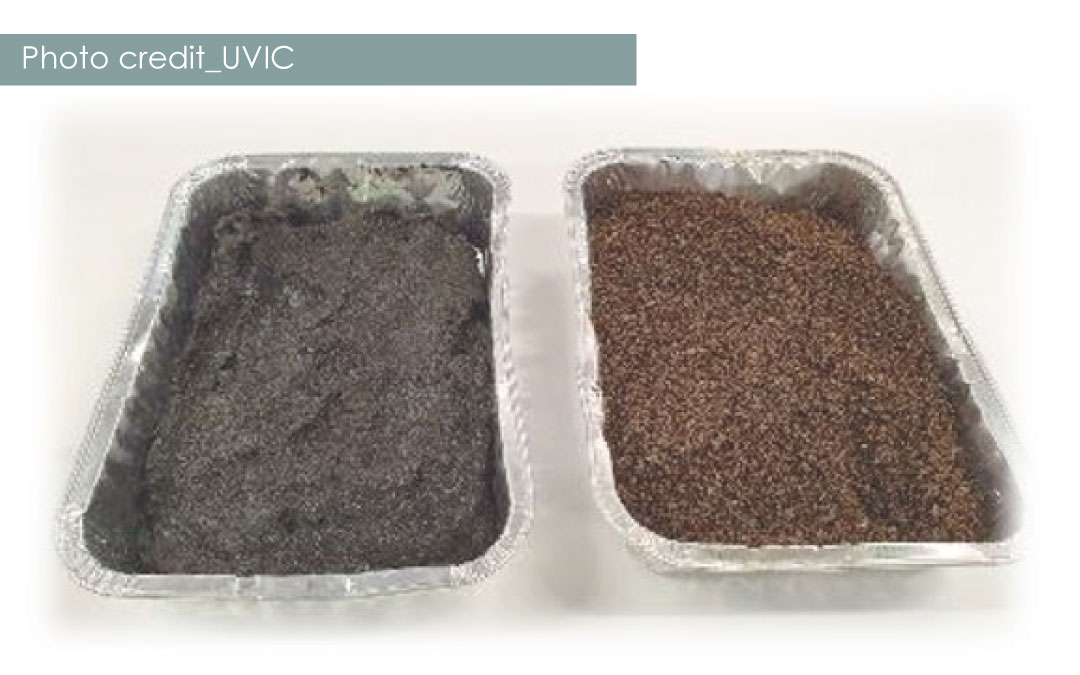 Potential valorization pathways for the marine aquaculture sludge using a biodrying process